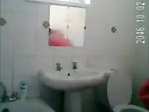 संचिका आबनूस बीबीडब् ...