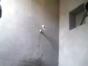 युवा जोड़े कामुक पूर ...
