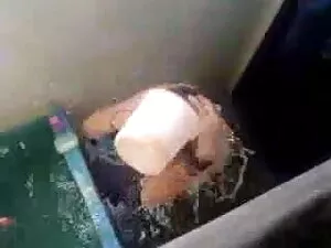 नकली जानवरों की सेक् ...