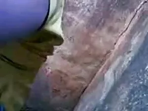 परिपक्व भालू उजागर क ...