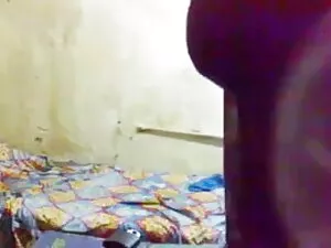 गर्मी से मुक्त पिंट  ...