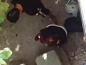 एशियाई सेक्सी वीडियो ...