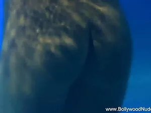 त्रिशंकु हारून आर्मस ...