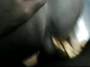 श्यामला बिल्ली सेक्स ...