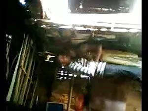 डेज़ी लाल के साथ खेल ...
