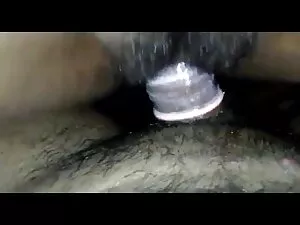 फर प्यारे संकलन सेलि ...