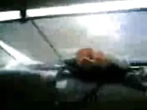 वयस्क सेक्सी फिल्म फ ...
