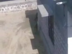 मेनोपोव-कालेब ट्रॉय  ...