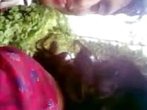 समलैंगिक-डेव एंथोनी  ...