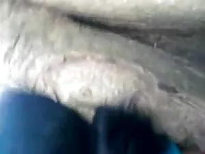 दिलचस्प और इंग्लिश स ...